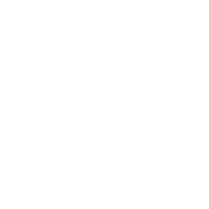 Icon of Magnifying glass