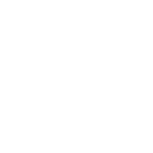 Icon of a voting box